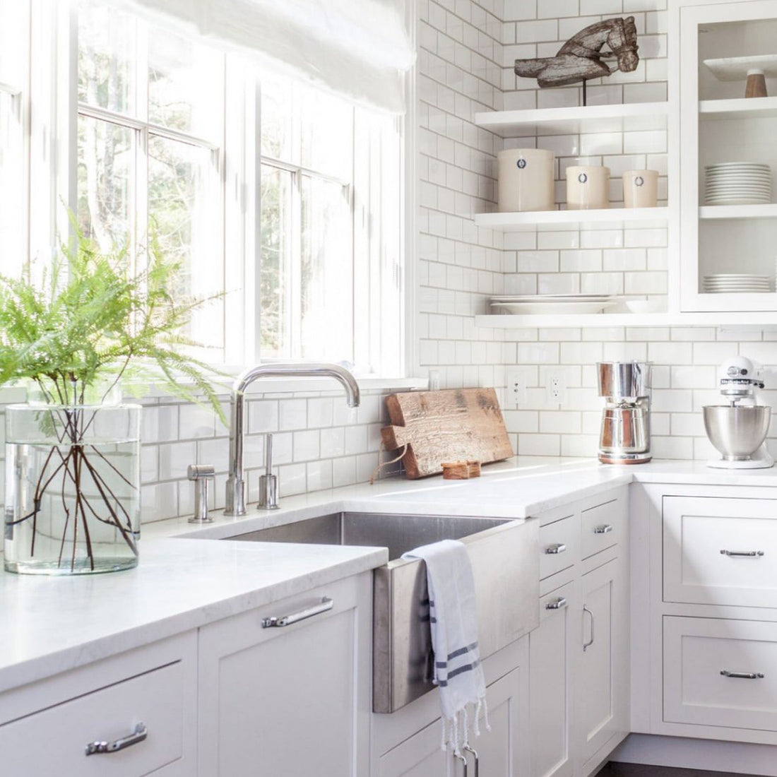 Air & Water Purification with Jill Rowe | Digital Download