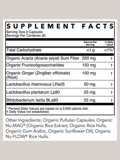 Gut + Digestive Probiotic Support | 60 Capsules