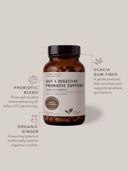Gut + Digestive Probiotic Support | 60 Capsules