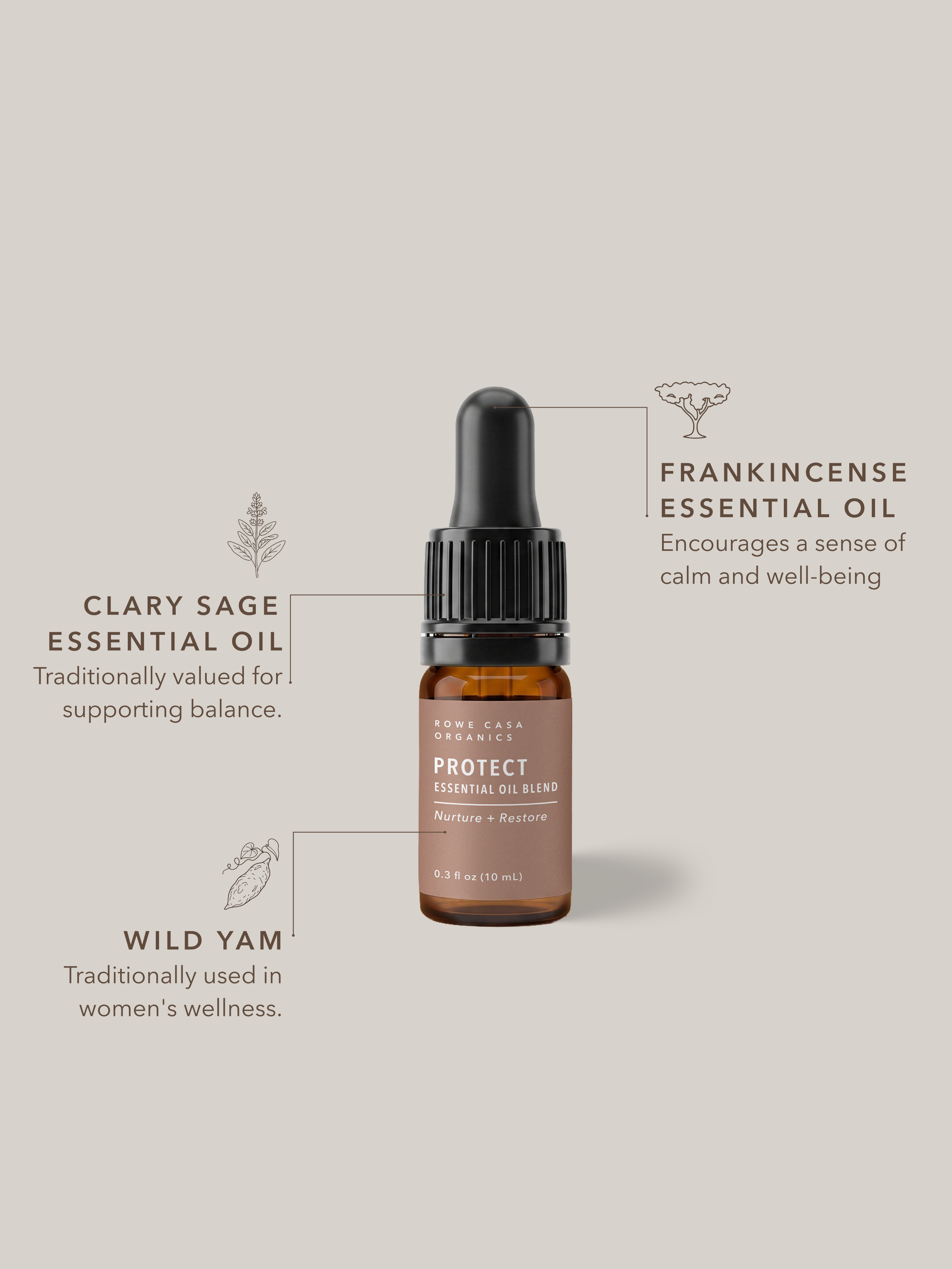 Protect Essential Oil Blend | 10 ml