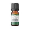 GROUNDING | 10 ml