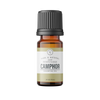 Camphor | 10 ml