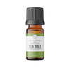 TEA TREE | 10 ml